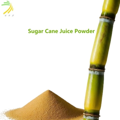 quality 100-200 Mesh Fruit Ingredient Sugar Cane Juice Powder Soluble In Water factory
